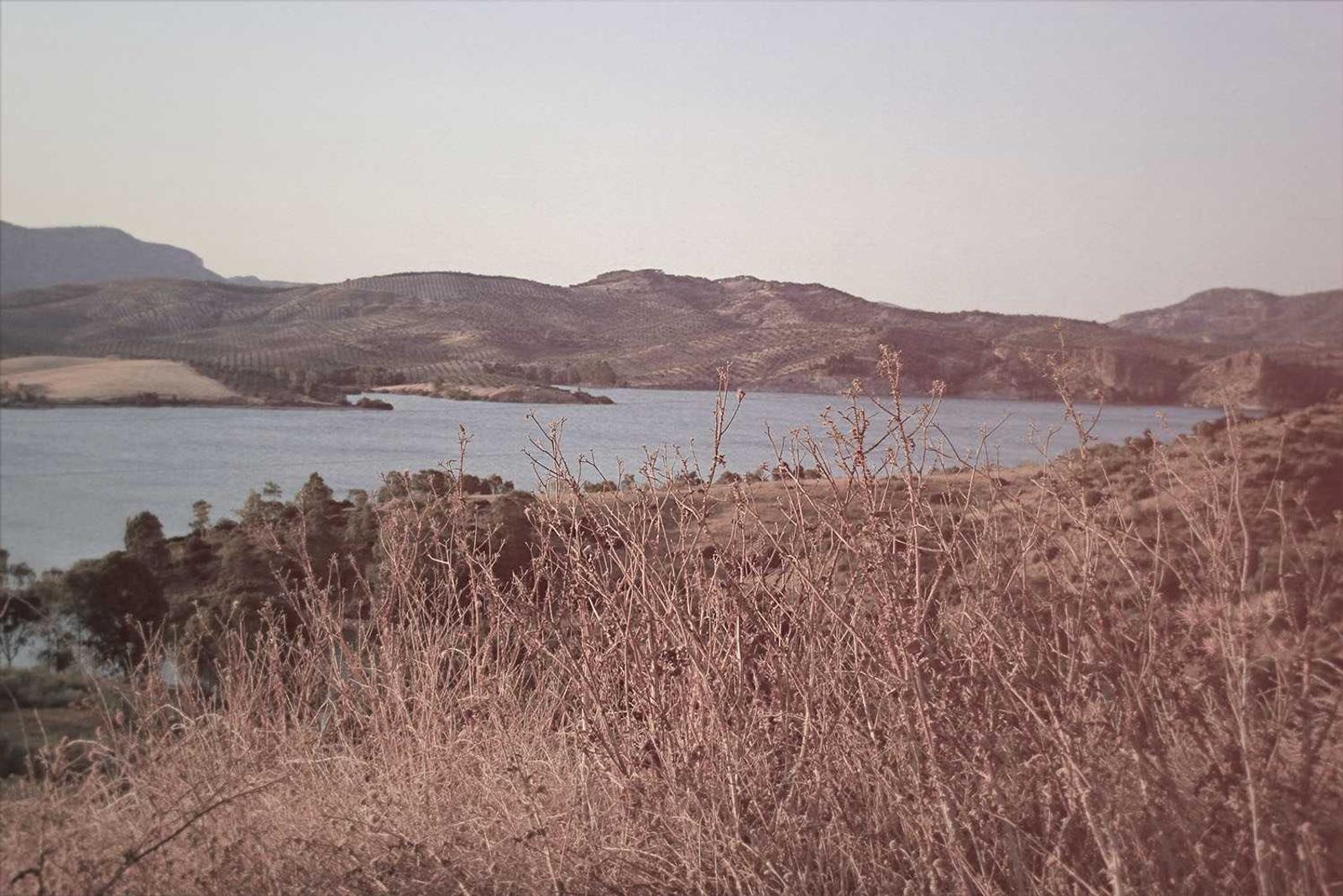 test-photo-3.jpg